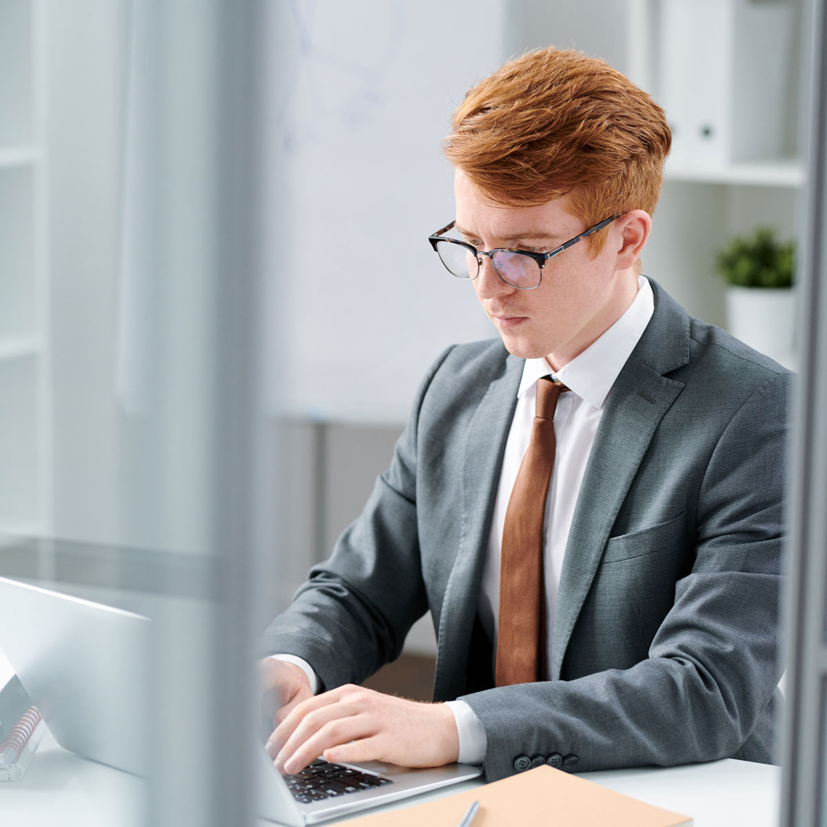Young legal professionals at work